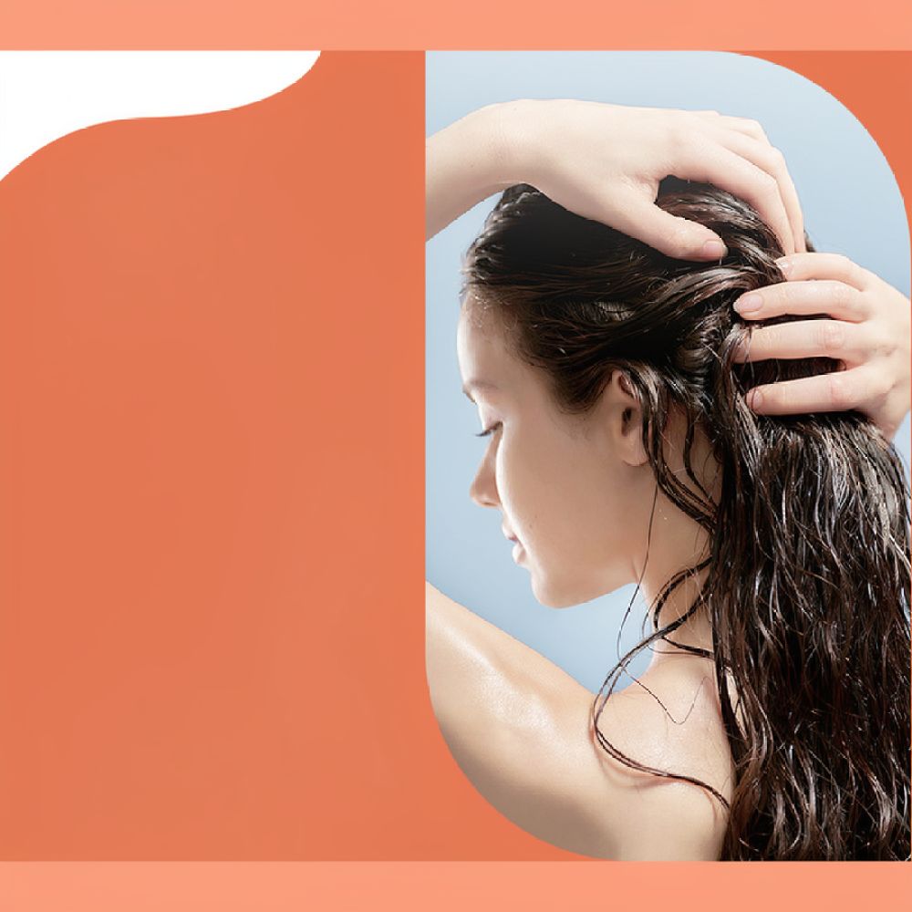 Champú en barra nutritivo para - Hair Care Keratin Shampoo reseña y precio
